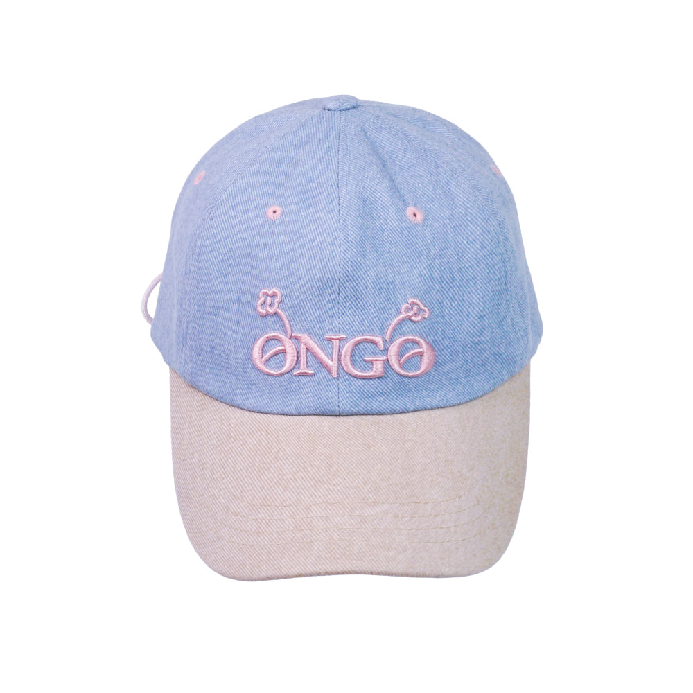 TWO TONE LOGO CAP