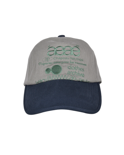 WEB LOGO 5 PANNEL BALL CAP